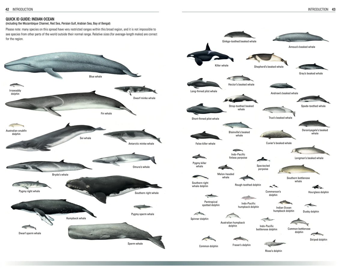 Handbook of Whales, Dolphins and Porpoises